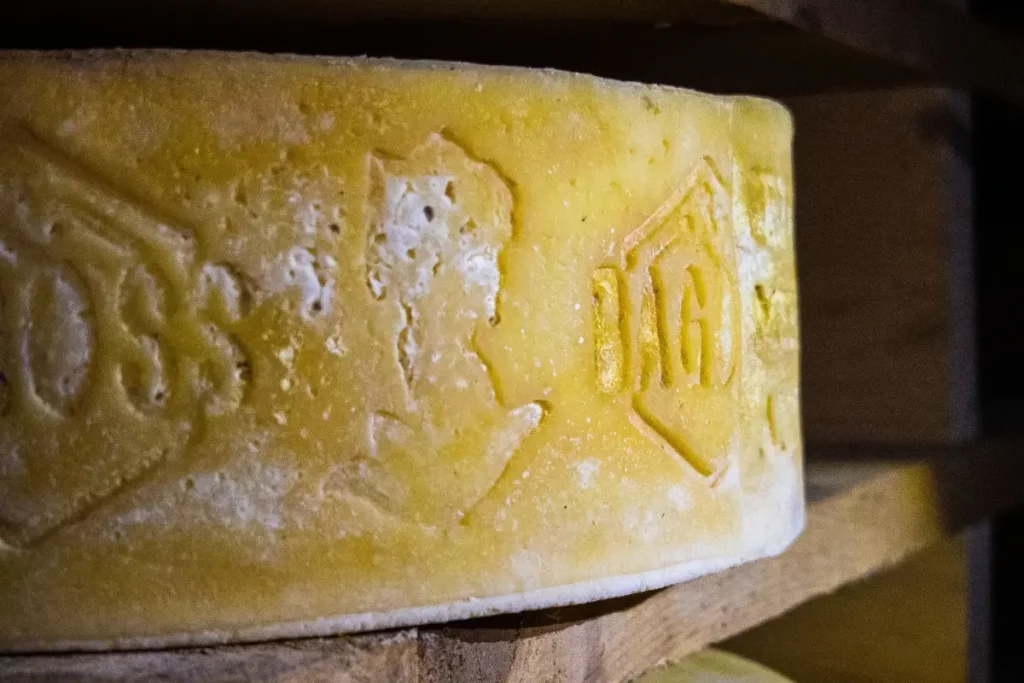 Salatura a secco del formaggio artigianale di montagna Bagòss