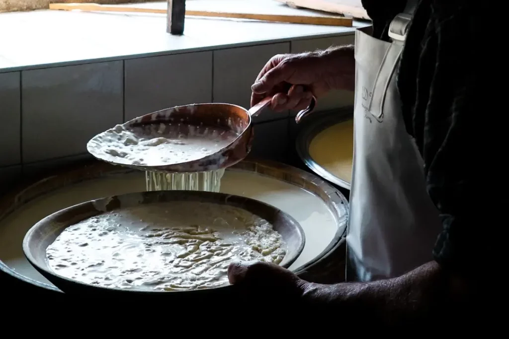 Affioramento del latte durante la produzione del formaggio Bagòss