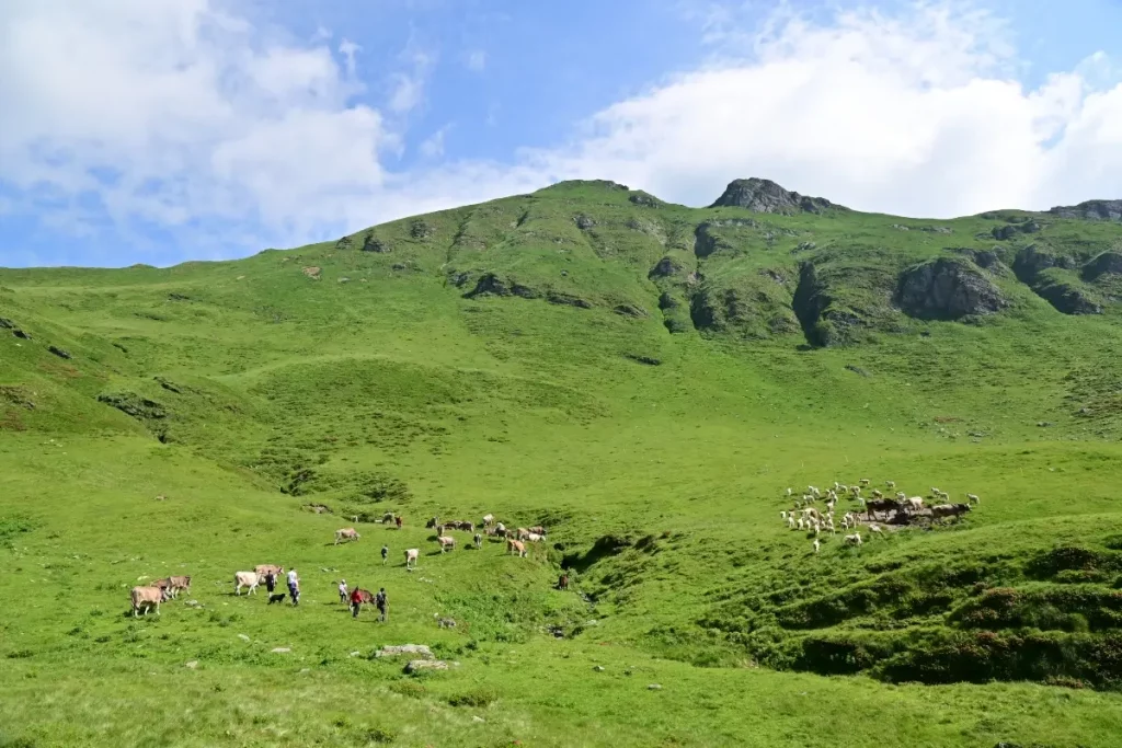 Casaro e allevatori in una piccola malga di montagna